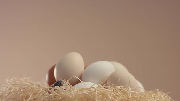 nido con huevos diferentes. Huevos de Pascua
 - Foto, Imagen