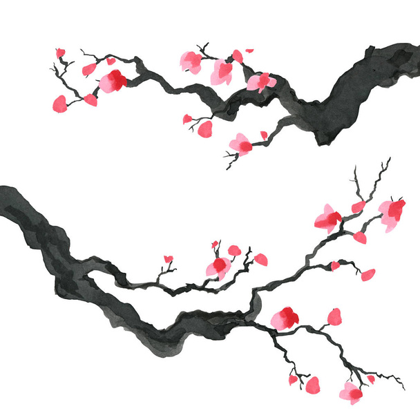Sakura tree in Japanese style. Watercolor hand painting illustration - Valokuva, kuva