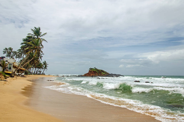 Pure sandy beach and small island on the beach of Sri Lanka - 写真・画像