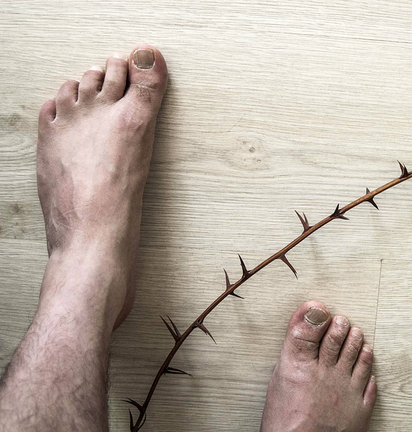 людська нога на землі і колючі кущі, шипи і величезна людська голка для ніг
, - Фото, зображення