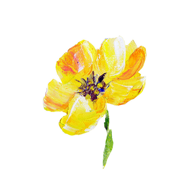 Hand painted modern style yellow flower - Foto, Imagem