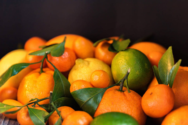 さまざまな柑橘類のクローズ アップ - 写真・画像