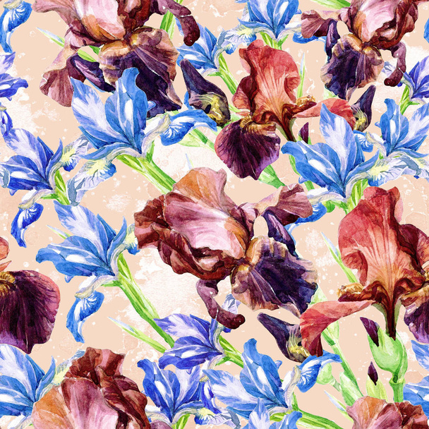 Seamless pattern of irises painted in watercolor. - Foto, immagini