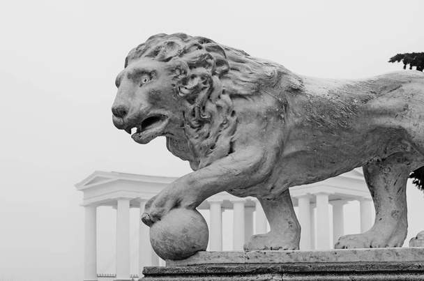 Памятник льву
 - Фото, изображение