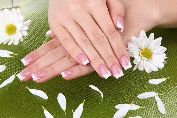 Woman hands with french manicure and flowers on green background - Fotografie, Obrázek