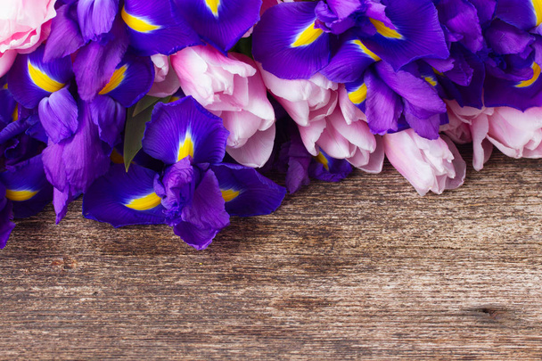 Blue irises and pik tulips - Zdjęcie, obraz