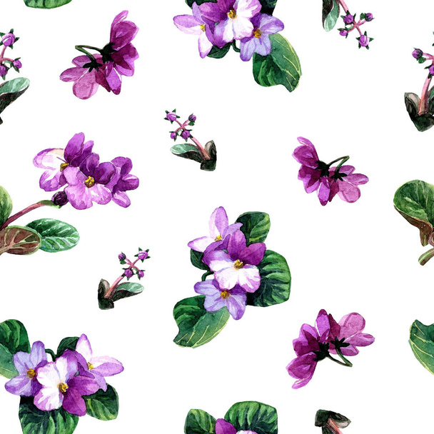 Seamless pattern of watercolor Saintpaulia flowers. - Fotoğraf, Görsel