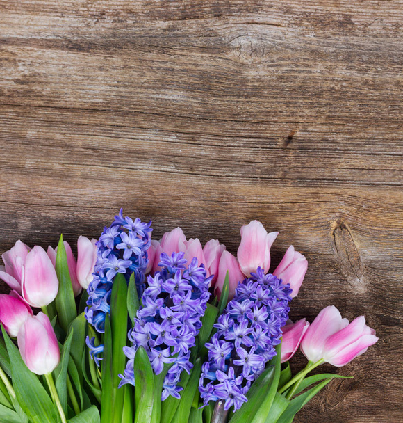 hyacinths and tulips - Foto, Bild