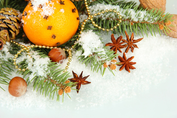 christmas composition with oranges and fir tree, isolated on white - Фото, зображення