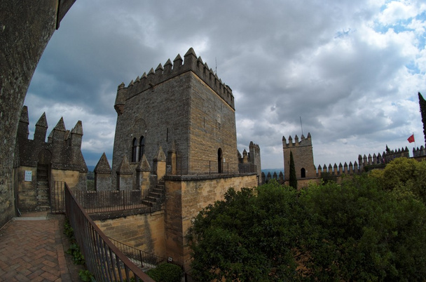 "Риб'яче око" view Almodovar-дель-Ріо середньовічного замку на Похмурий день - Фото, зображення
