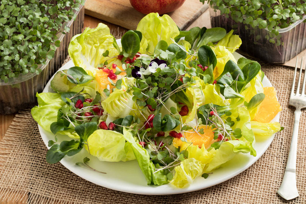 Овочевий салат зі свіжовирощеною мікрозеленою зеленню
 - Фото, зображення