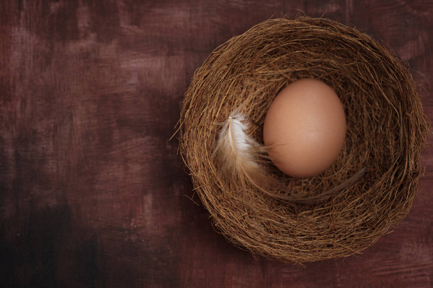 Egg is beneficial to the body - Fotoğraf, Görsel