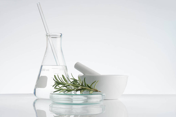 laboratory and research with alternative herb medicine - Foto, Imagen
