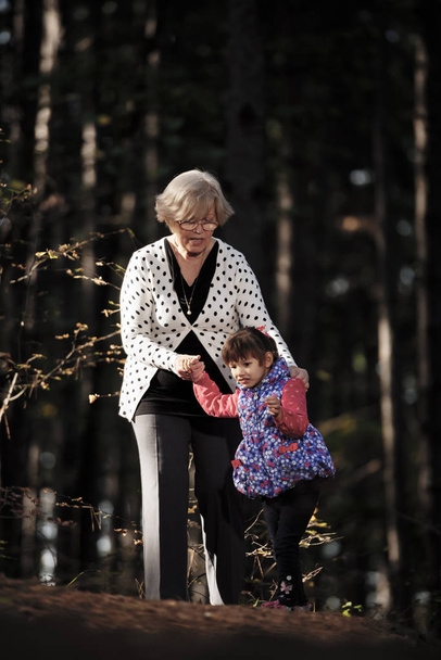 Grandmother and granddaughter walking along the path in the park - Photo, Image