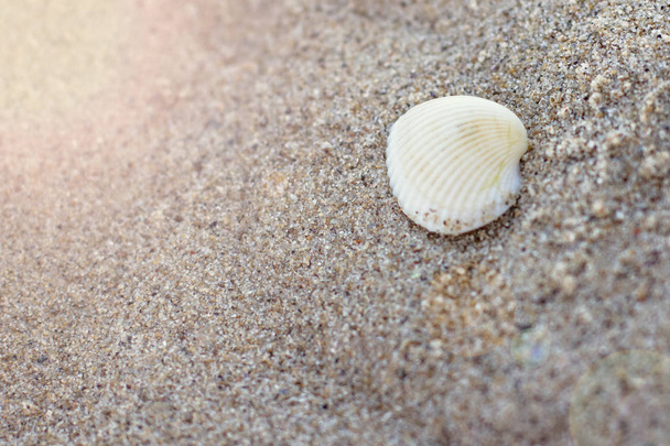 Галька на пляже у моря
.  - Фото, изображение