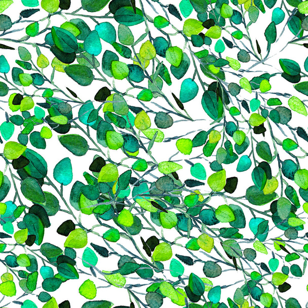 Eucalyptus Greenery Leaves Seamless Pattern. - Foto, Imagen