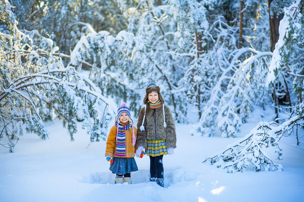 The kids in the winter woods. - Photo, image