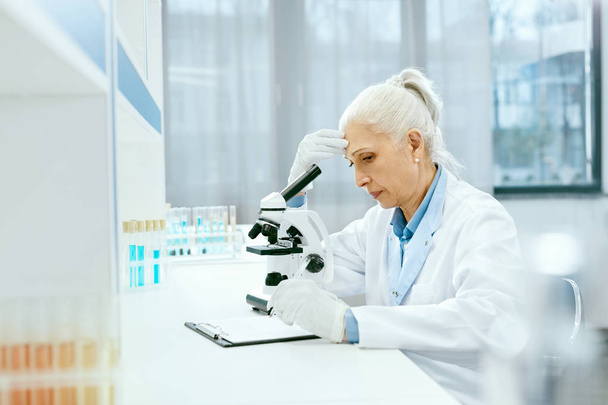 Scientific Laboratory. Scientist Working In Lab - Фото, изображение