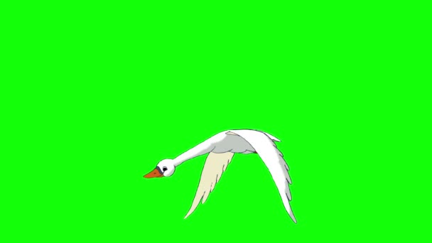 White Swan Flies. Animated Looped Motion Graphic Isolated on Green Screen - Footage, Video