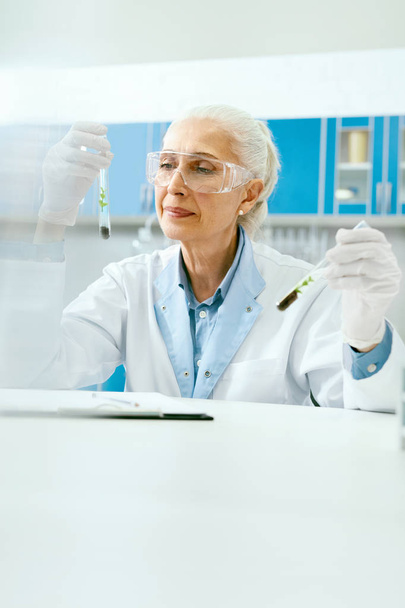 Scientist With Plant In Scientific Laboratory - Fotoğraf, Görsel