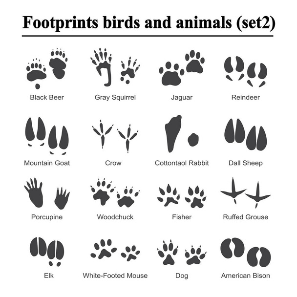 Wildlife animals and birds footprint, animal paw prints vector set. Footprints of variety of animals, illustration of black silhouette footprints - Vector, imagen