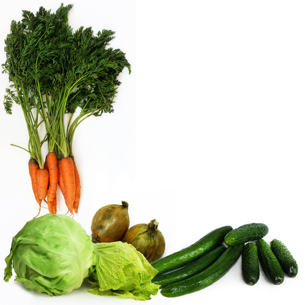 Raw fresh vegetables isolated on white background.  - Фото, изображение