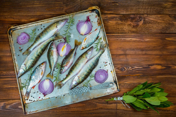 frischer Fisch Barsch in einem Topf mit Gewürzen, Ansicht von oben. Platz für Text - Foto, Bild