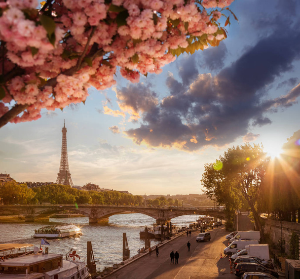 Paris mit Eiffelturm gegen Frühlingsbaum in Frankreich - Foto, Bild