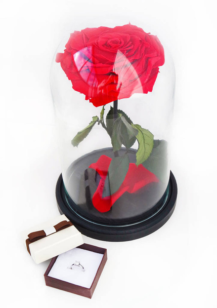 Rode rose en een ring in een doos. Roos in een maatkolf.  - Foto, afbeelding