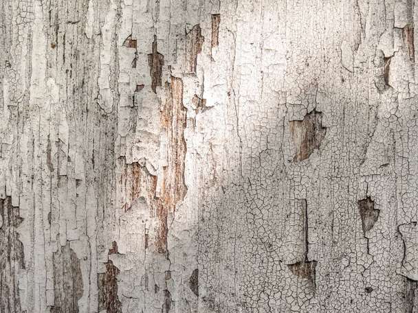 Oude bekrast wit geschilderde houten planken achtergrond - Foto, afbeelding