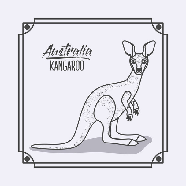 canguro australia en marco y silueta monocromática
 - Vector, imagen