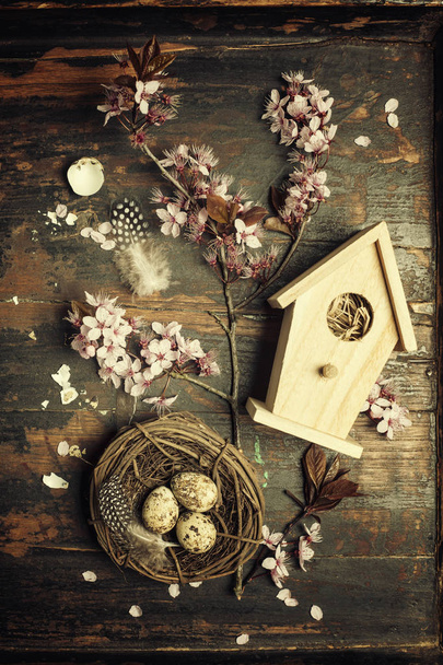 Easter composition - Photo, image