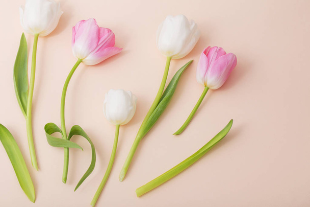pink and white tulips on paper background - Фото, изображение