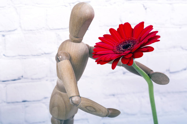 Wooden mannequin with red gerbera flower - Photo, Image