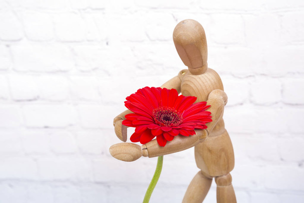 Mannequin en bois avec fleur de gerbera rouge
 - Photo, image