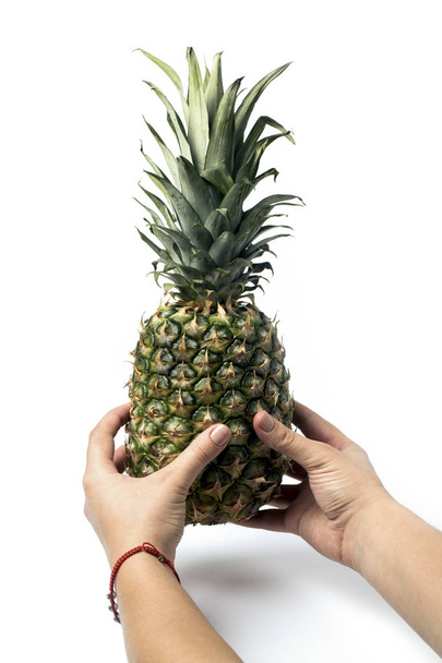 Pineapple in the hands - 写真・画像