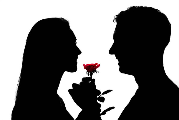 素敵なカップルのシルエットです。立って、赤のバラを保持.  - 写真・画像