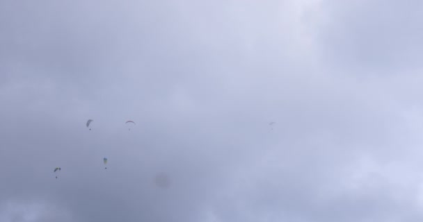 Парапланеристы летают над удивительным пляжным морским ландшафтом, параплавают в солнечный летний день над тропическим островом, приключенческий экстремальный спорт
  - Кадры, видео