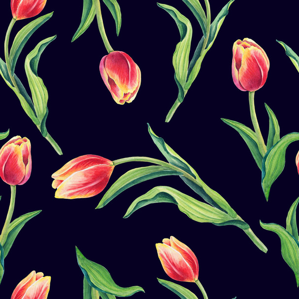 Beautiful spring seamless pattern with Yellow,red,purple tulips.The flowers on a white background.Vector illustration.Print for gift wrapping,fabric, paper,postcards and website design. - Zdjęcie, obraz