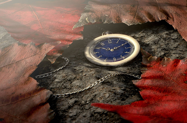 Загублений кишеньковий годинник на ланцюзі
 - Фото, зображення