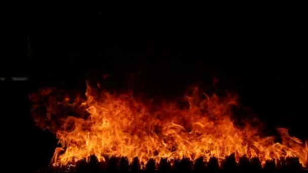 Close-up van de vlammen branden op zwarte achtergrond, slow-motion - Video