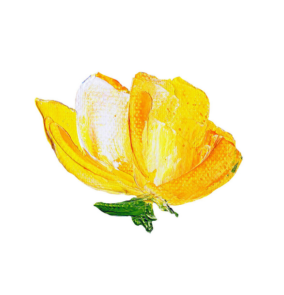 Hand painted modern style yellow flower - Foto, afbeelding