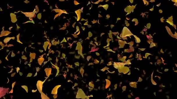 Automne Feuilles d'automne Frontal - Noir BG / / 4k réaliste Feuillage tombant Vidéo Arrière-plan Boucle. Feuilles d'automne tombantes, volant vers le spectateur. Les feuilles sont modélisées et animées de manière réaliste (et avec amour). Idéal pour la projection
. - Séquence, vidéo
