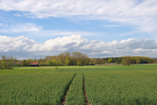 tavaszi gazdálkodás, Németország - Fotó, kép