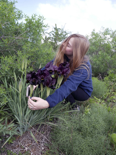 Blondes Mädchen betrachtet Blume Iris im geschützten Naturgebiet - Foto, Bild