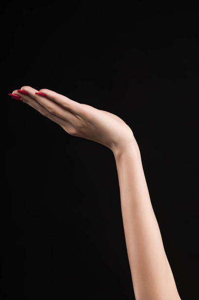 beautiful woman hand with pink manicure on the nails isolated on - 写真・画像