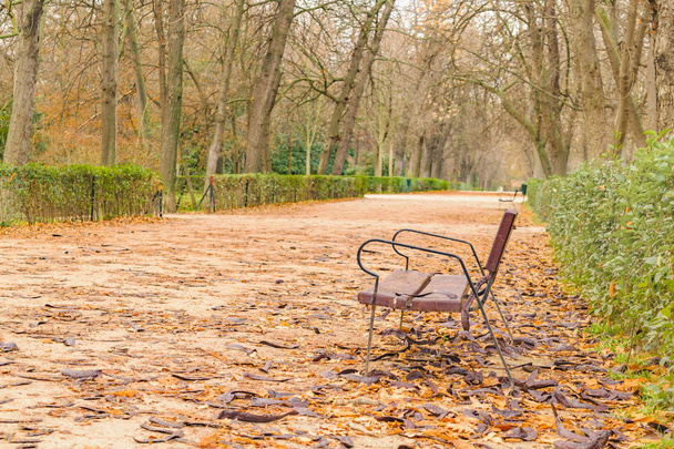 Del Retiro Park, Madrid, Spain - Zdjęcie, obraz