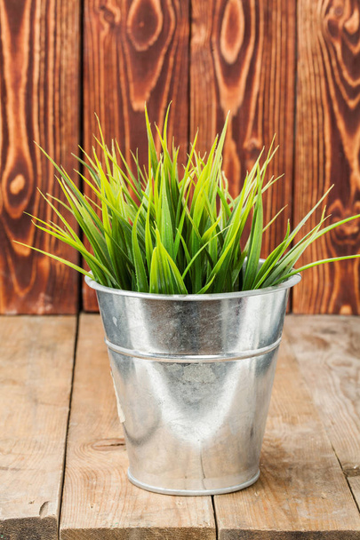 grass in a pot on - Foto, imagen