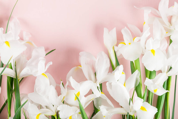Bouquet de belles fleurs d'iris
 - Photo, image