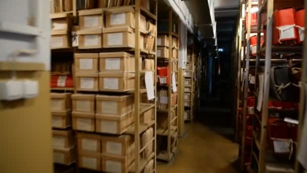 In the repository of the historical archive.   - Footage, Video